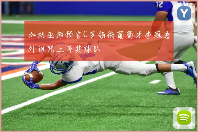 加纳巫师预言C罗领衔葡萄牙夺冠意外诅咒土耳其球队
