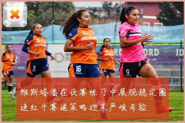 维斯塔潘在夜赛练习中展现稳定圈速红牛赛道策略迎来严峻考验