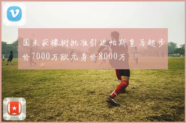 国米获橡树批准引进帕斯皇马起步价7000万欧元身价8000万